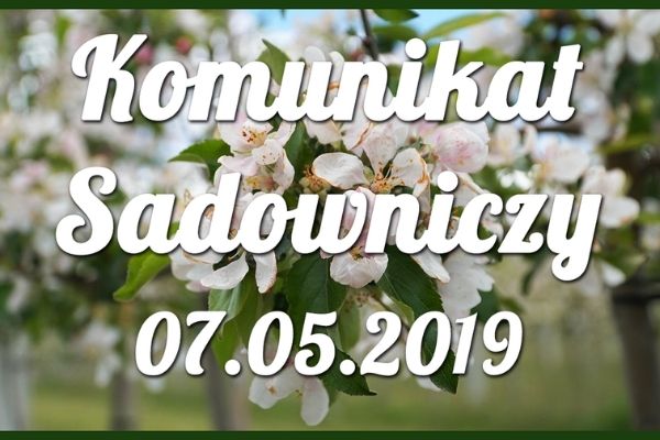 Komunikat sadowniczy nr 6 z dnia 07.05.2019 r.